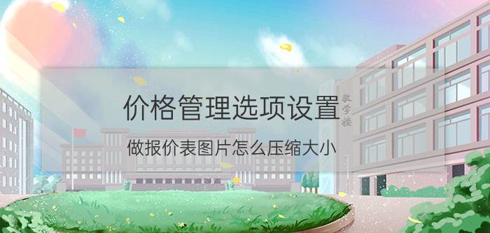 价格管理选项设置 做报价表图片怎么压缩大小？